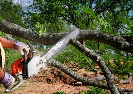 Lawn Maintenance Plans in Mountain Top, PA